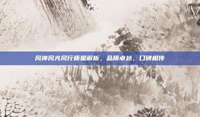 风神风光风行质量解析,品质卓越,口碑相传
