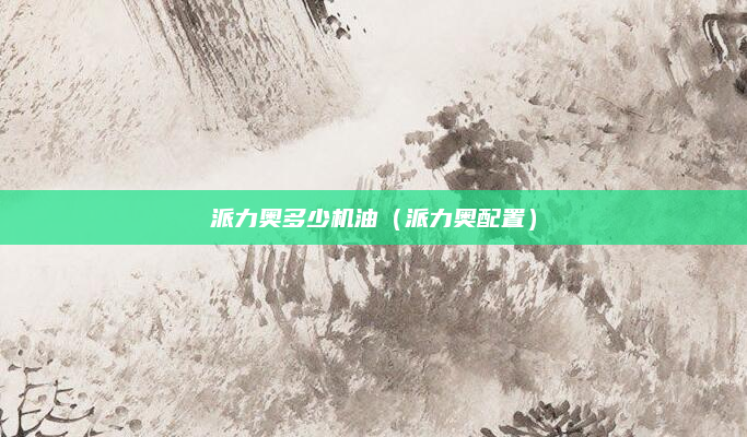 派力奥多少机油（派力奥配置）