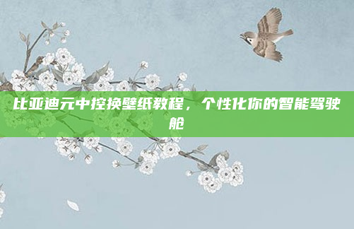 比亚迪元中控换壁纸教程，个性化你的智能驾驶舱