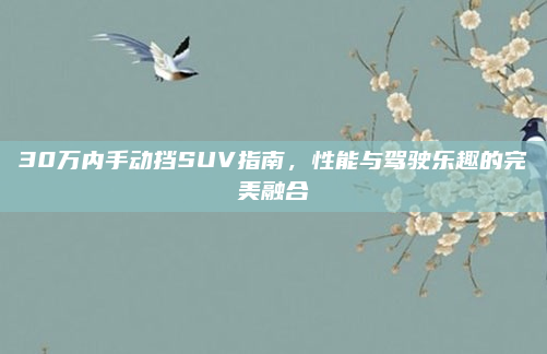 30万内手动挡SUV指南,性能与驾驶乐趣的完美融合