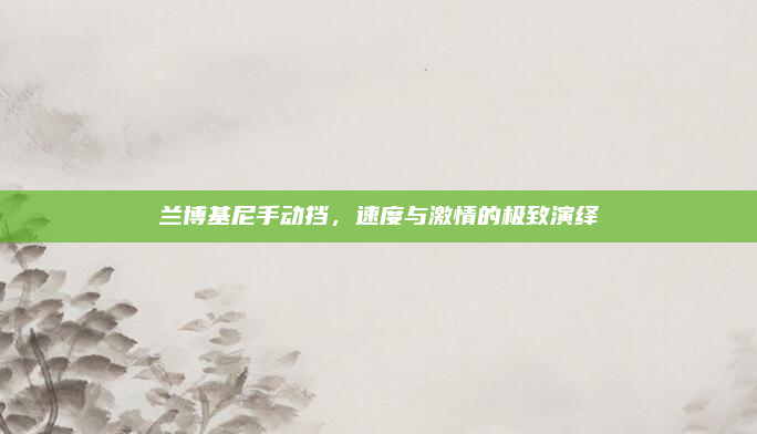 兰博基尼手动挡,速度与激情的极致演绎