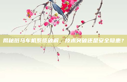 揭秘斑马车机系统破解,技术突破还是安全隐患?