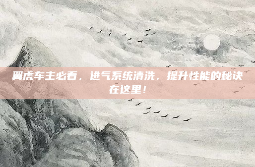 翼虎车主必看，进气系统清洗，提升性能的秘诀在这里！