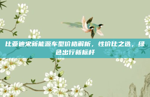 比亚迪宋新能源车型价格解析，性价比之选，绿色出行新标杆