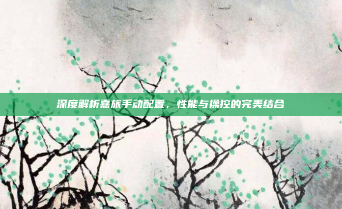 深度解析嘉旅手动配置,性能与操控的完美结合