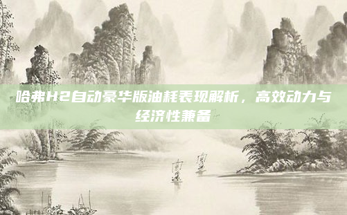 哈弗H2自动豪华版油耗表现解析，高效动力与经济性兼备