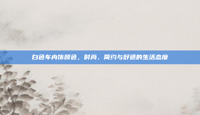 白色车内饰颜色，时尚、简约与舒适的生活态度