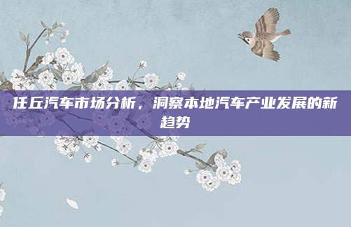 任丘汽车市场分析，洞察本地汽车产业发展的新趋势