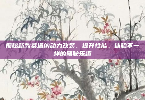 揭秘新款桑塔纳动力改装，提升性能，体验不一样的驾驶乐趣