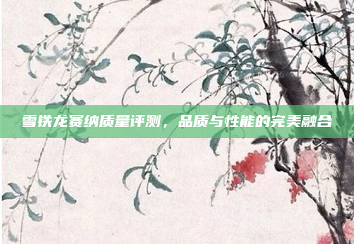 雪铁龙赛纳质量评测,品质与性能的完美融合