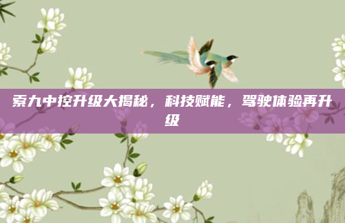 索九中控升级大揭秘，科技赋能，驾驶体验再升级
