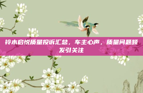 铃木启悦质量投诉汇总，车主心声，质量问题频发引关注