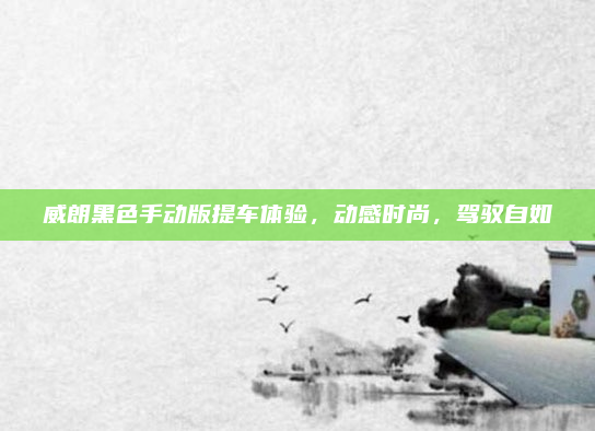 威朗黑色手动版提车体验，动感时尚，驾驭自如