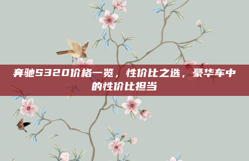 奔驰S320价格一览,性价比之选,豪华车中的性价比担当