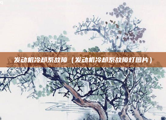 发动机冷却系故障（发动机冷却系故障灯图片）