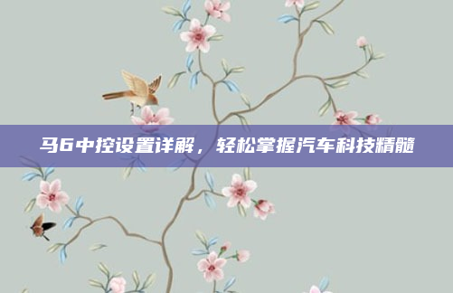 马6中控设置详解，轻松掌握汽车科技精髓