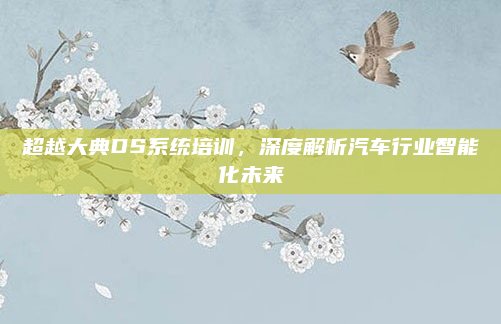 超越大典DS系统培训,深度解析汽车行业智能化未来