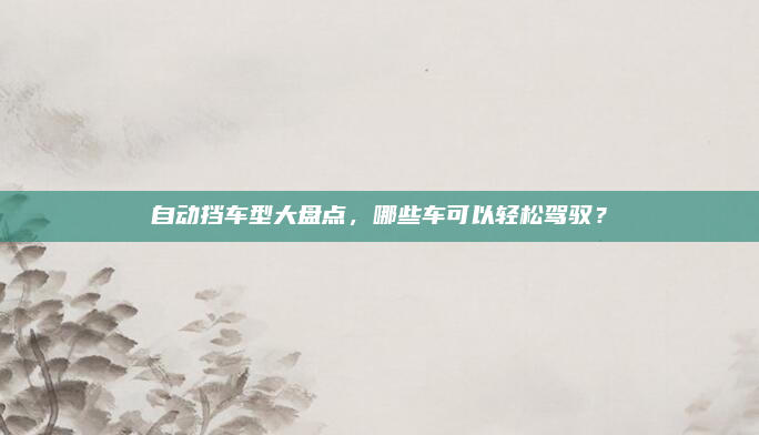 自动挡车型大盘点，哪些车可以轻松驾驭？