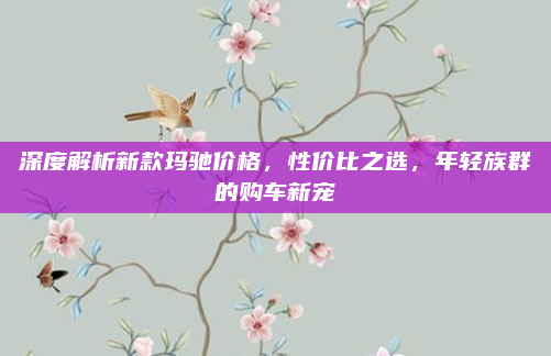 深度解析新款玛驰价格，性价比之选，年轻族群的购车新宠