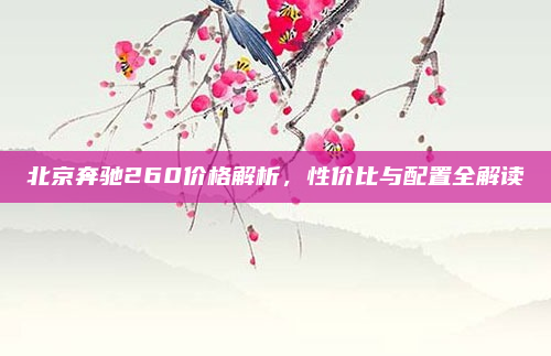 北京奔驰260价格解析,性价比与配置全解读