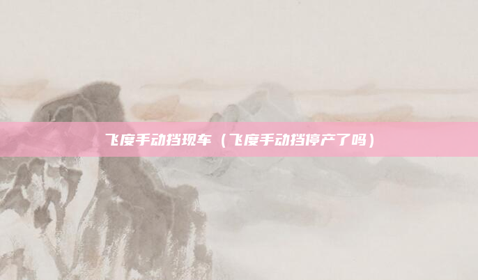 飞度手动挡现车(飞度手动挡停产了吗)