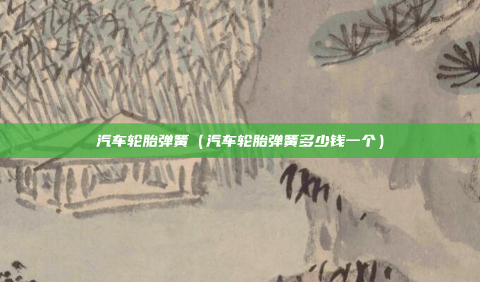 汽车轮胎弹簧(汽车轮胎弹簧多少钱一个)
