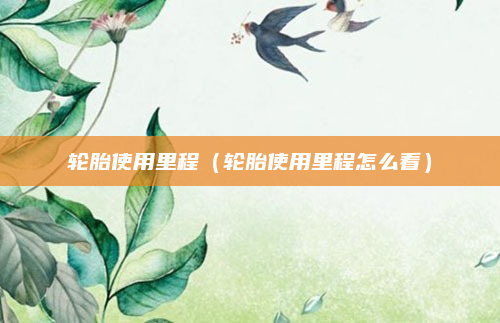 轮胎使用里程（轮胎使用里程怎么看）