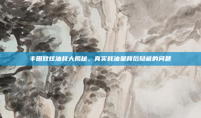 丰田致炫油耗大揭秘，真实耗油量背后隐藏的问题