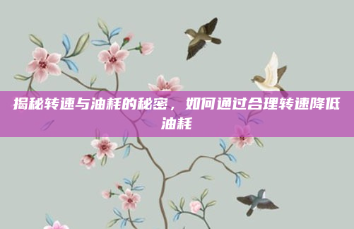 揭秘转速与油耗的秘密，如何通过合理转速降低油耗