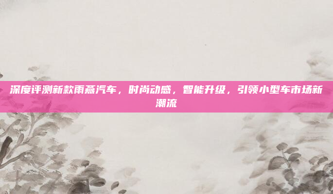 深度评测新款雨燕汽车，时尚动感，智能升级，引领小型车市场新潮流