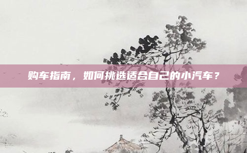 购车指南，如何挑选适合自己的小汽车？