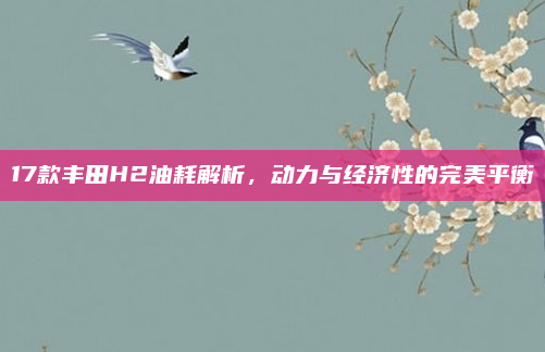 17款丰田H2油耗解析,动力与经济性的完美平衡