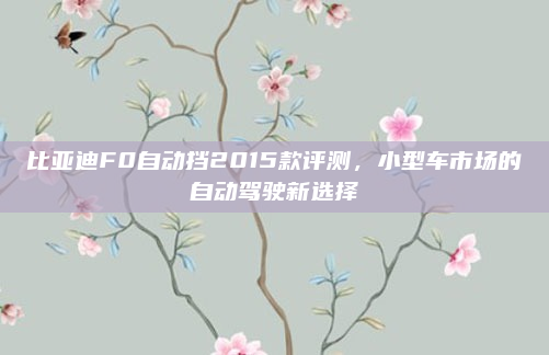 比亚迪F0自动挡2015款评测,小型车市场的自动驾驶新选择