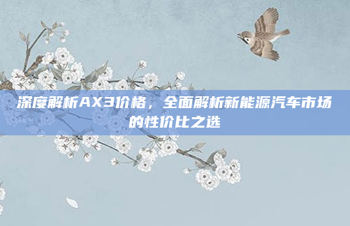 深度解析AX3价格,全面解析新能源汽车市场的性价比之选