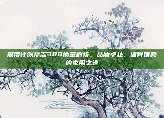 深度评测标志308质量解析,品质卓越,值得信赖的家用之选