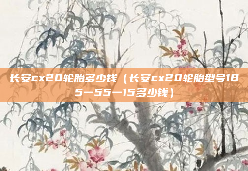 长安cx20轮胎多少钱（长安cx20轮胎型号185一55一15多少钱）