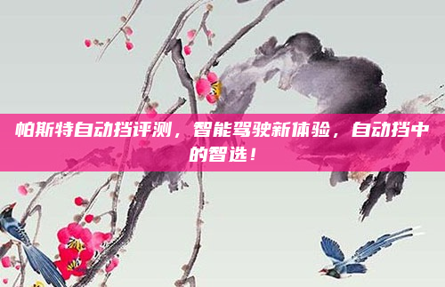 帕斯特自动挡评测,智能驾驶新体验,自动挡中的智选!