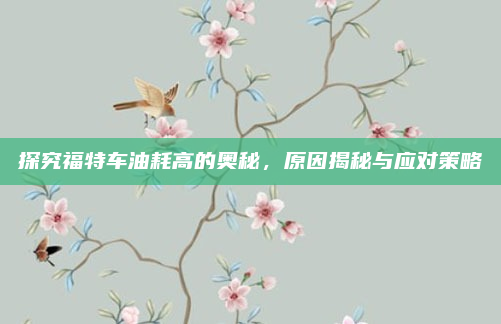 探究福特车油耗高的奥秘，原因揭秘与应对策略