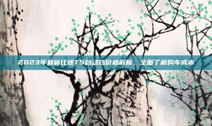 2023年最新比速T5自动挡价格解析,全面了解购车成本