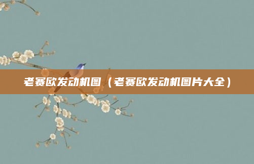 老赛欧发动机图（老赛欧发动机图片大全）