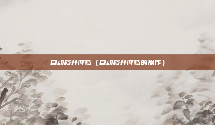 自动档升降档（自动档升降档的操作）