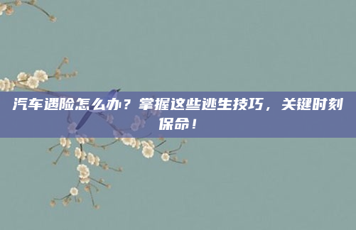 汽车遇险怎么办？掌握这些逃生技巧，关键时刻保命！