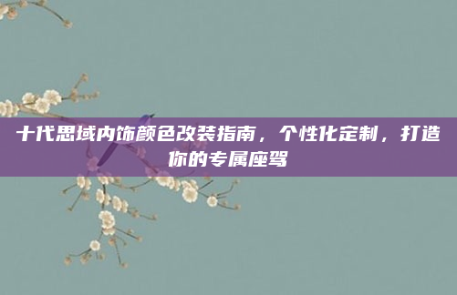 十代思域内饰颜色改装指南，个性化定制，打造你的专属座驾