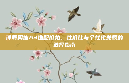 详解奥迪A3选配价格，性价比与个性化兼顾的选择指南