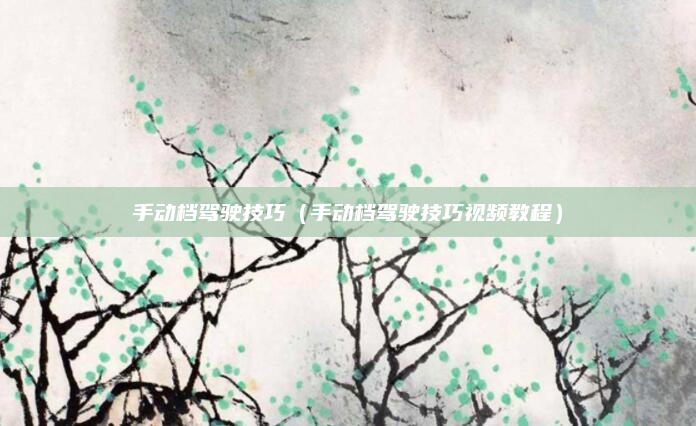 手动档驾驶技巧(手动档驾驶技巧视频教程)