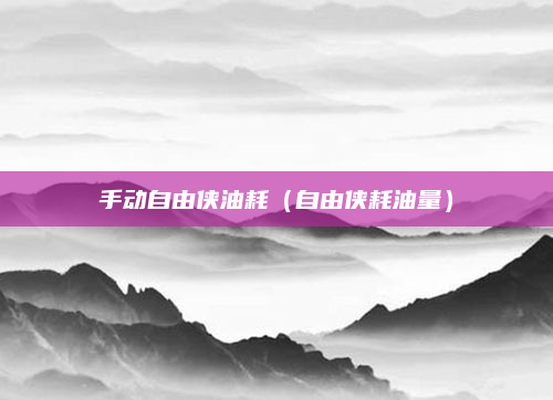 手动自由侠油耗(自由侠耗油量)