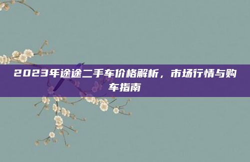 2023年途途二手车价格解析,市场行情与购车指南