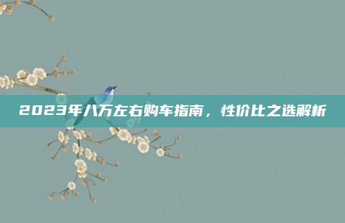 2023年八万左右购车指南，性价比之选解析