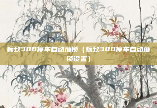 标致308停车自动落锁(标致308停车自动落锁设置)