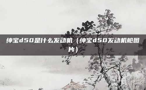 绅宝d50是什么发动机(绅宝d50发动机舱图片)